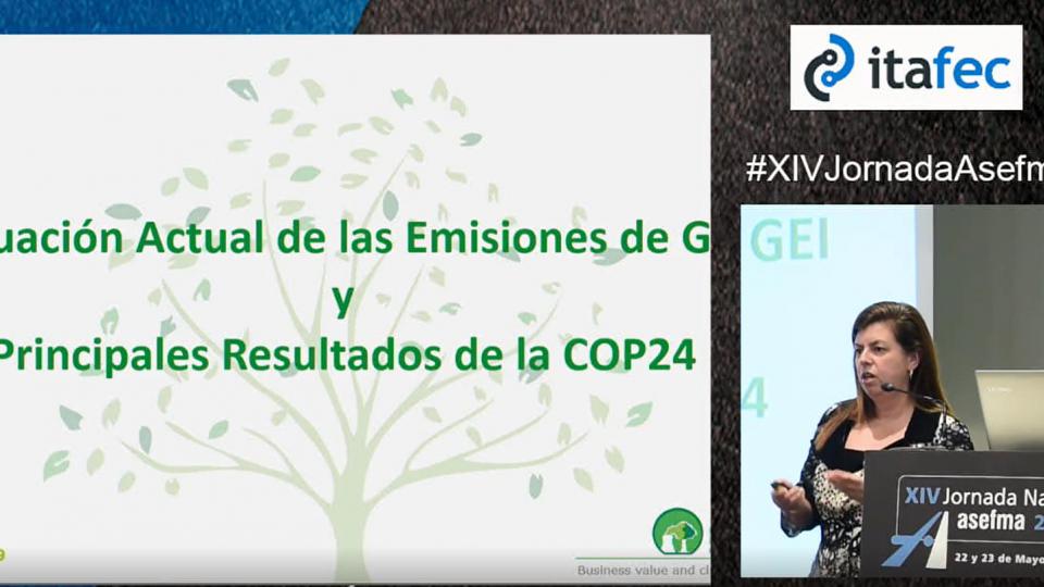 Situación actual de las emisiones de los gases de efecto invernadero (GEI). Principales resultados de la COP24