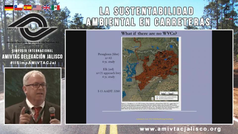 Medidas de mitigación en carreteras para la fauna silvestre y su efectividad