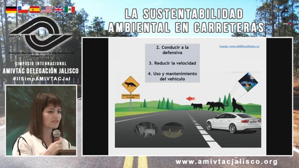 BIOL. TATIANA PAREDES: Señalamiento ambiental en carreteras, medida para evitar accidentes entre vehículos y fauna silvestre