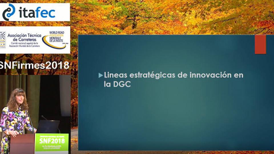 Líneas estratégicas de la Dirección General de Carreteras en materia de innovación Tecnológica